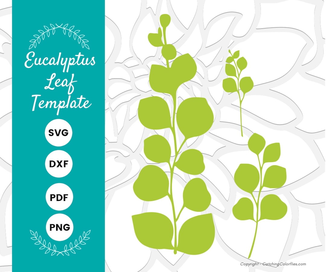 eucalyptus-paper-leaf-template-eucalyptus-vine-svg-eucalyptus-svg-dxf-cut-files-and-printable-pdf-instant-download-etsy