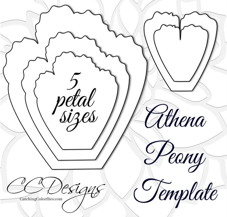 Big Paper Peonies, Printable PDF Flower Templates, Peony PDF Templates, Heavy Flower Templates, Birthday Flower Backdrop photograph about Flower Template Printable named Big Paper Peonies, Printable PDF Flower Templates, Peony PDF Templates, Massive Flower Templates, Birthday Flower Backdrop