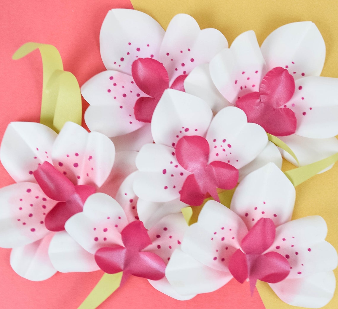Paper Orchid Templates and Flower Tutorial DIY Paper Orchid | Etsy