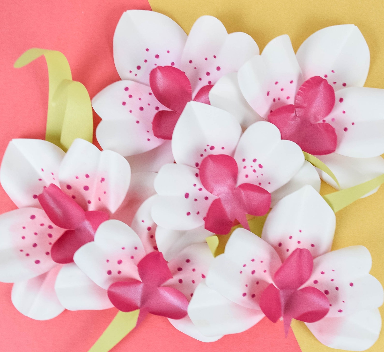 Paper Orchid Templates and Flower Tutorial DIY Paper Orchid Etsy