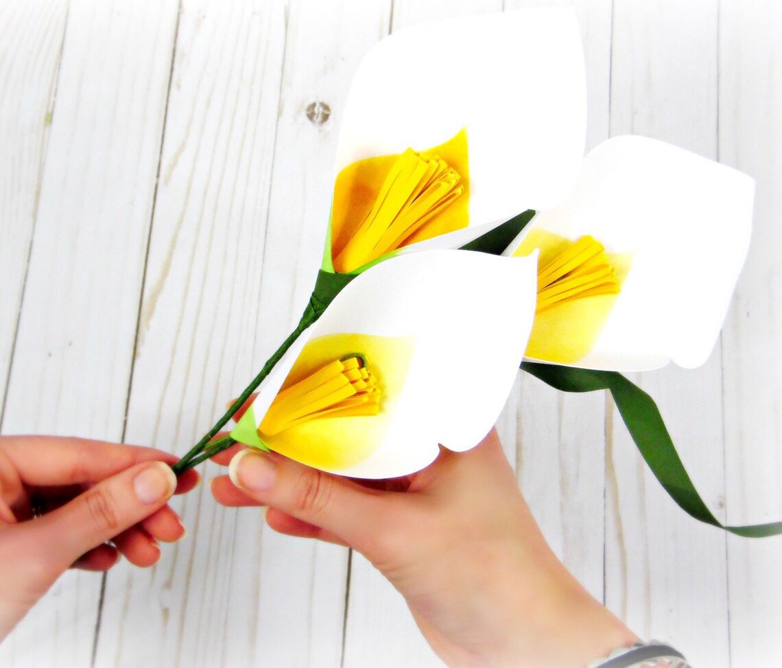 Paper Calla Lily Template & Tutorial DIY Paper Flower | Etsy
