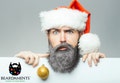 Beard Glitter Kit - 4 Colors Availabe! Red Green Gold Silver -Glitter Beard Decembeard Beard Season Christmas Beard Baubles Beard Decoration