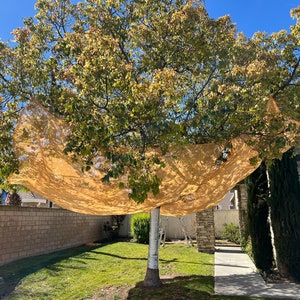 20x20’ Fruit Tree Catcher
