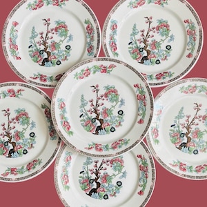 Vintage Indian Tree Pattern Plate, England / Oriental, Asian Pattern Plates, J.E Heath, Erica, England