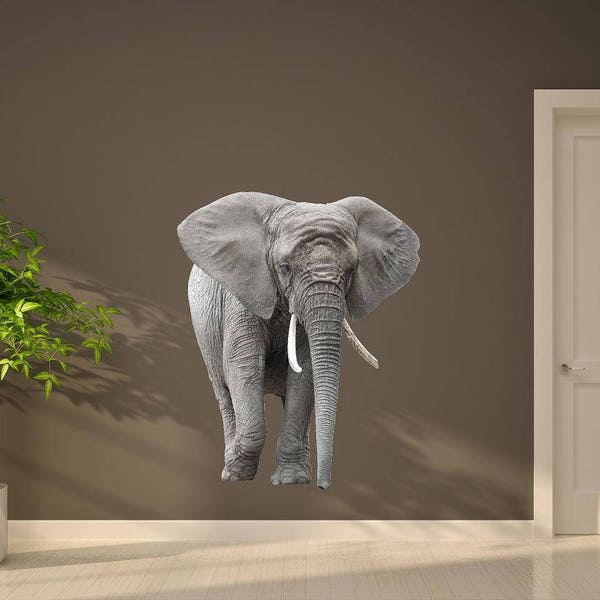 Wall Decals and Murals Etsy