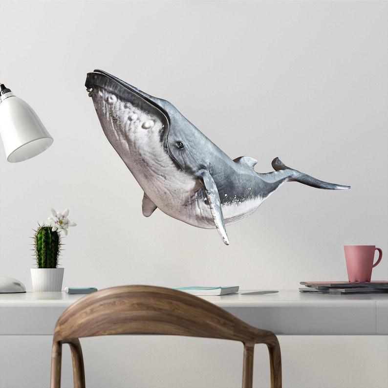 Humpback Whale Wall Decal Vinyl Sticker Graphic Whale Wall Art Etsy