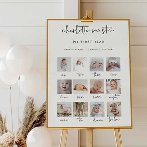 First Birthday Photo Sign Template, 1st Birthday Photo Poster, Baby's First Year Poster Printable, Modern Minimalist Birthday Instant