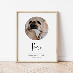 Pet Sympathy Gift Instant Download, Dog Remembrance Print, Memory Personalised Dog Loss Keepsake, Printable Best Friend Memory, Editable