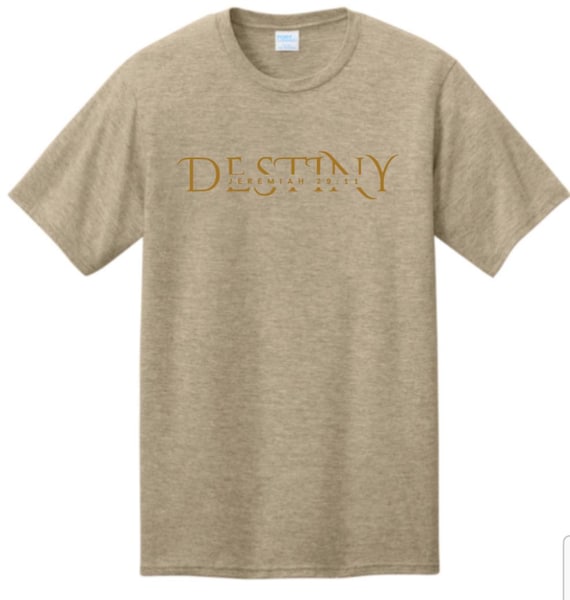 Destiny Jeremiah 29:11 T-shirt