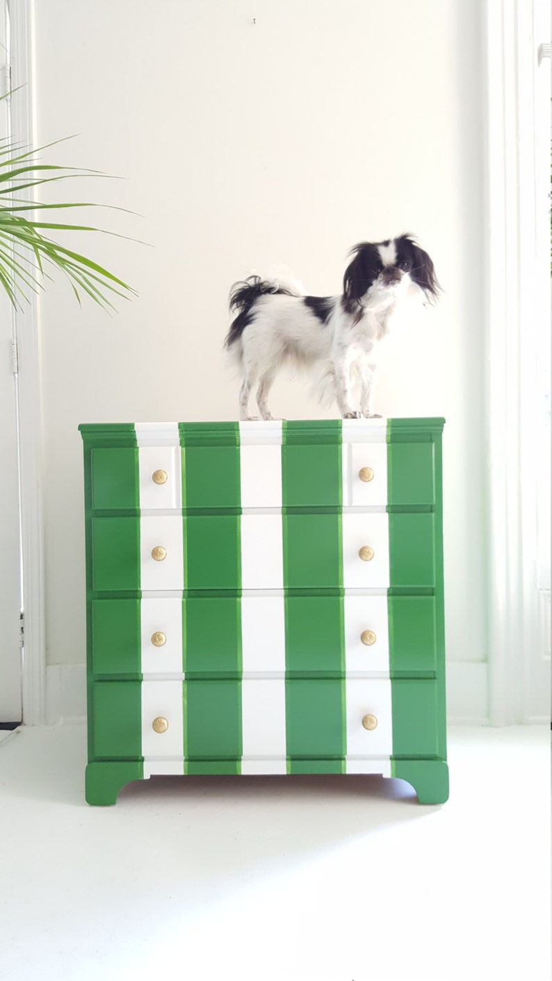 May include: A white chest of drawers with three drawers painted in green and white stripes. The chest of drawers has gold knobs. A small black and white dog is standing on top of the chest of drawers.
