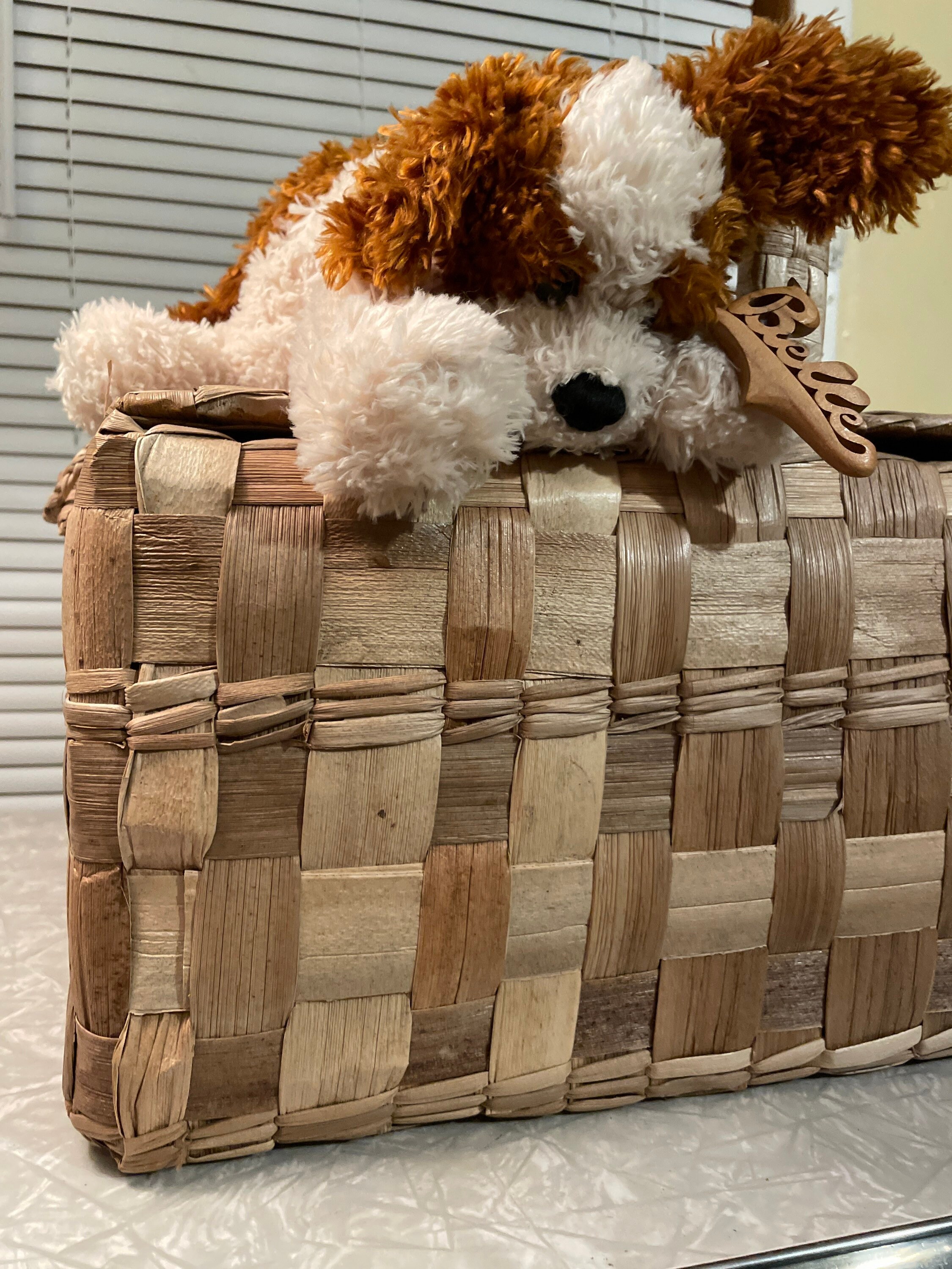 Toto Wizard Of Oz Basket