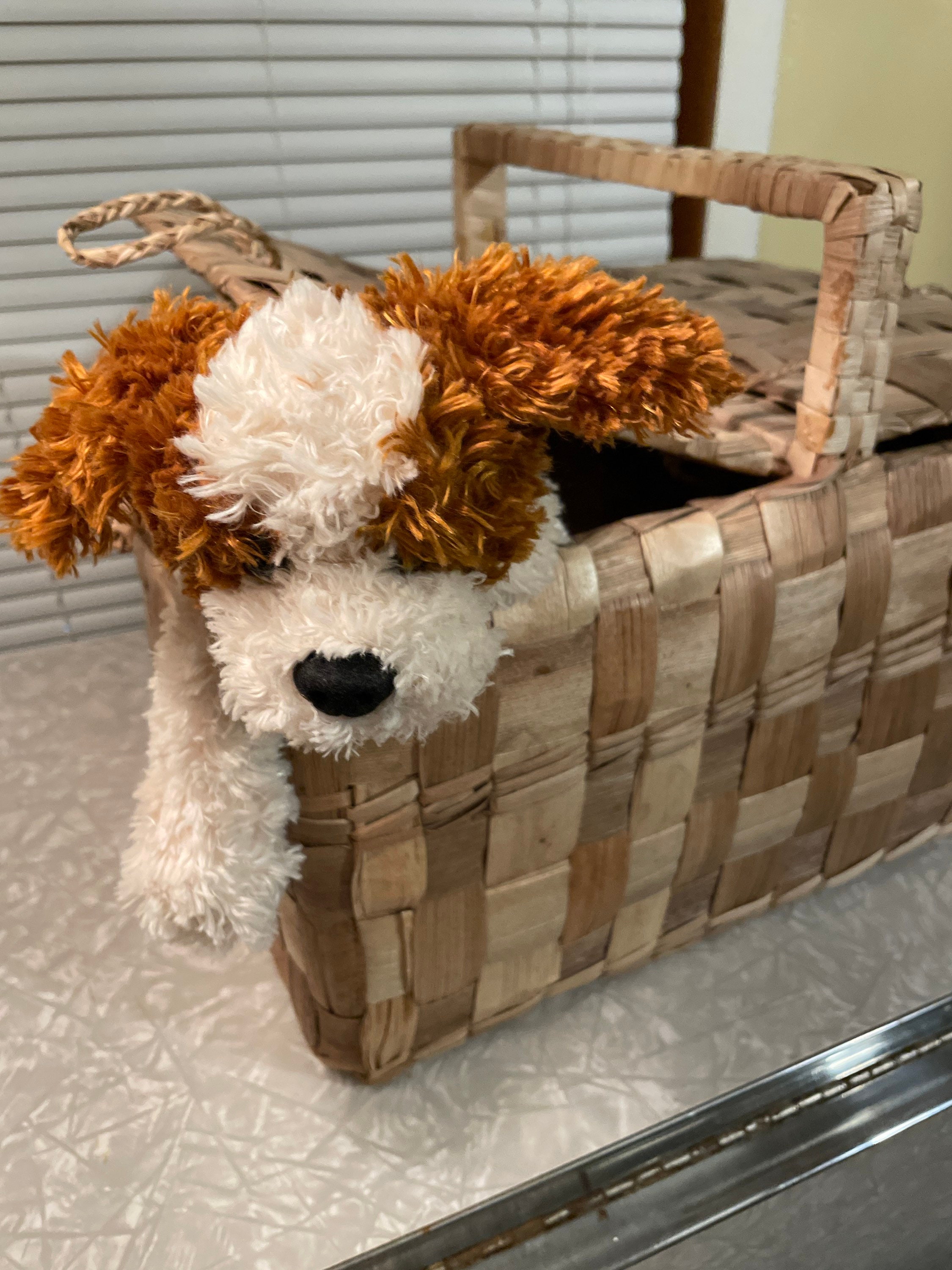 Picnic Basket Wizard of Oz Toto Style Vintage Reed Woven Etsy UK