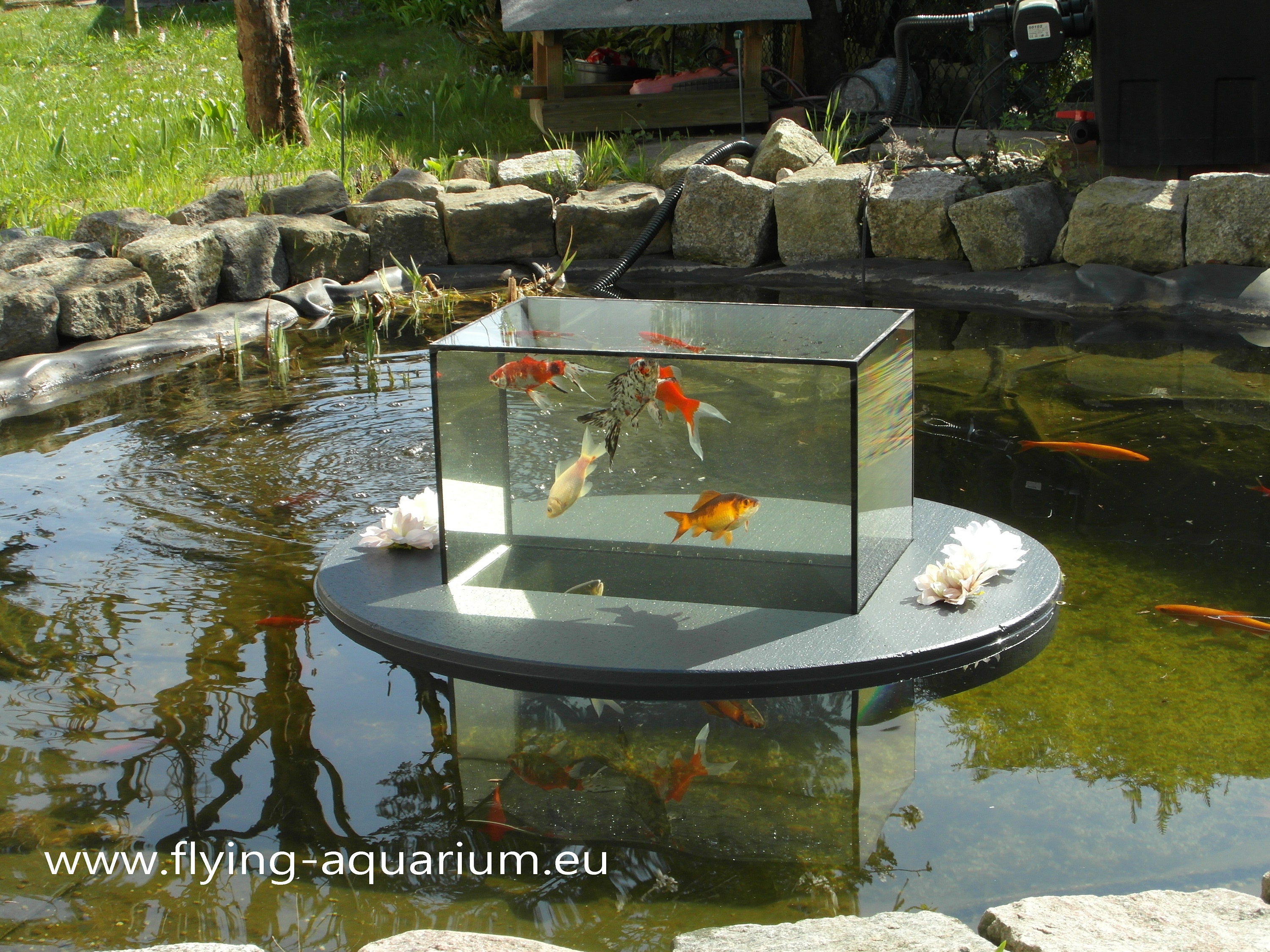 Flyingaquariumoval© basic 4500 Gray the Floating Pond Aquarium Made
