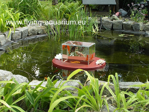Flying-aquarium-oval "basic" 1200 Red the Floating Pond Aquarium Made in Berlin Koi Pond Garden Decoration Garden Pond Pond Art - Etsy Flying-aquarium-oval "basic" 1200 Red the Floating Pond Aquarium Made in Berlin Koi Pond Garden Decoration Garden Pond Pond Art - Etsy