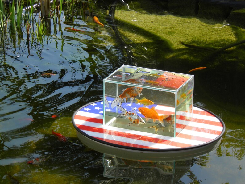 Flyingaquariumoval© elegance 1200 US Flag Fish Etsy