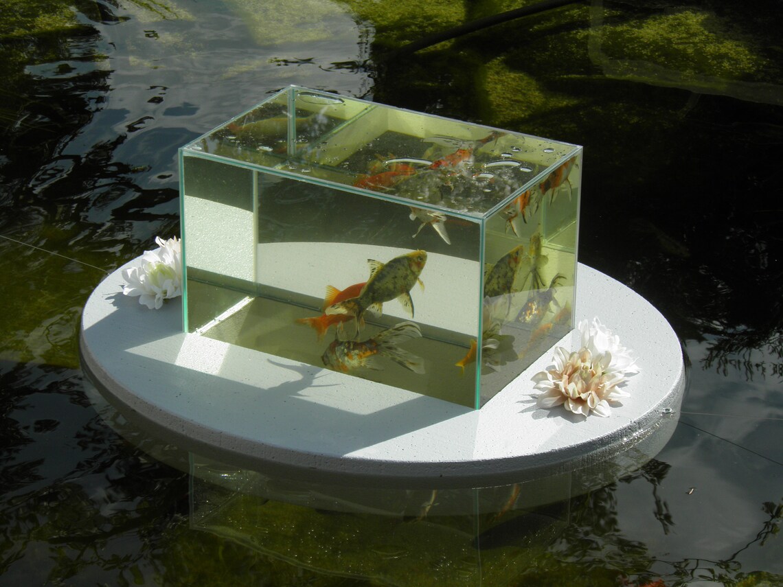 Flyingaquariumoval© basic 2500 Foggy Gray Fish Etsy