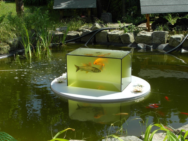 Flyingaquariumoval© basic 4500 Foggy Gray the Floating Pond Aquarium