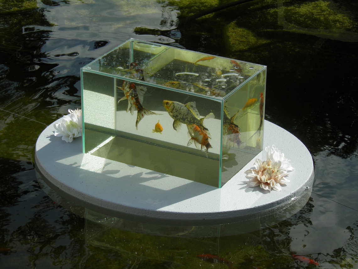 Flyingaquariumoval© basic 2500 Foggy Gray Fish Etsy