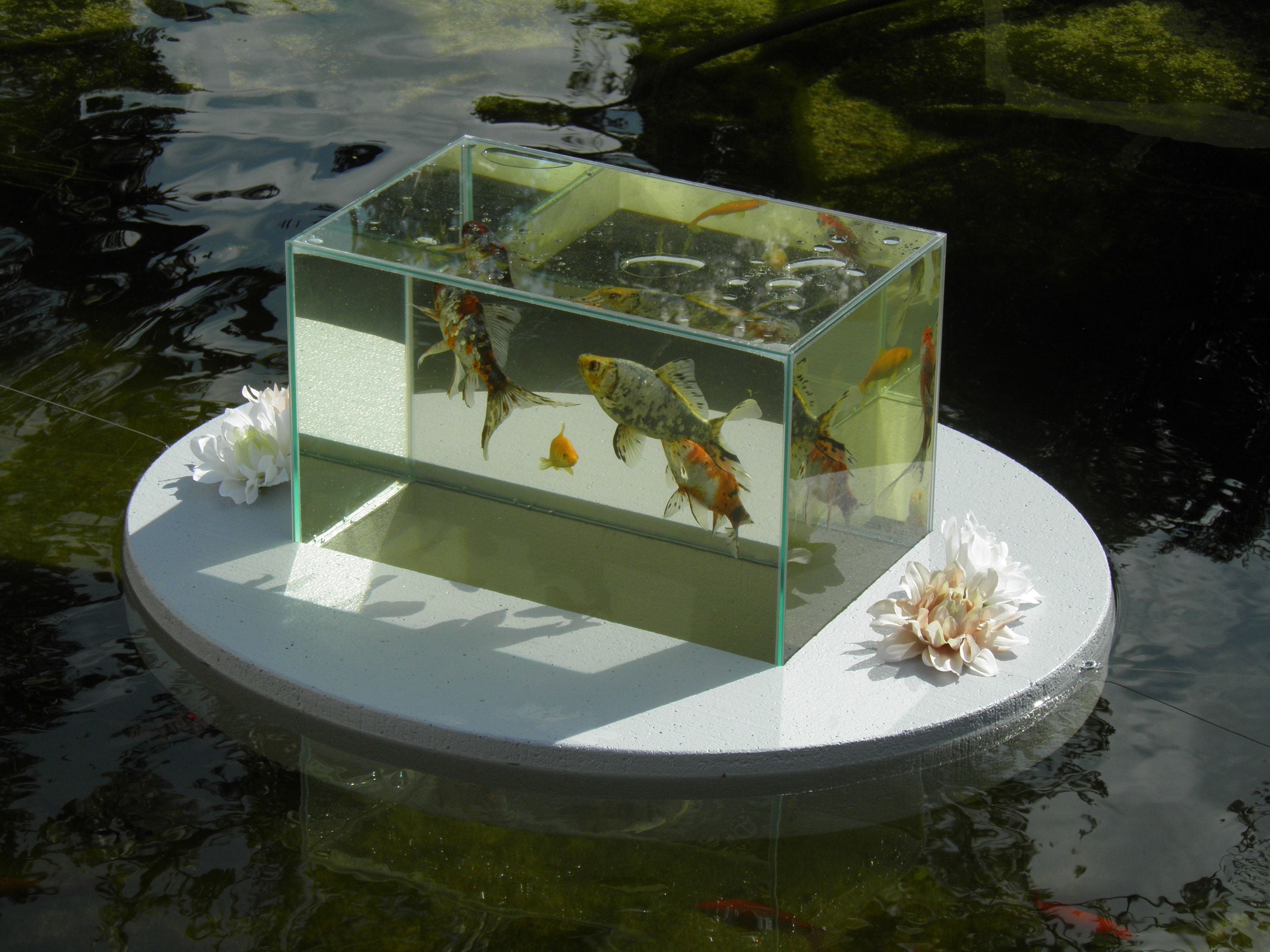above water fish box Umpqua Boat Baby Sage | Fly Box with External Foam resistant and scratch Bass Fish Jumping out of