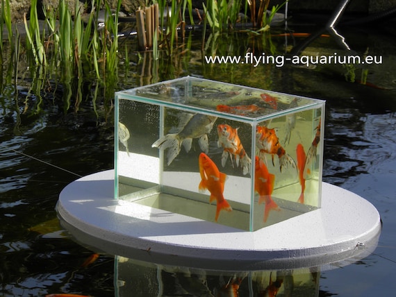 Flying-aquarium-oval "basic" 1200 Foggy Gray the Floating Pond Aquarium  Made in Berlin Koi Pond Garden Decoration Garden Pond Pond Art - Etsy
