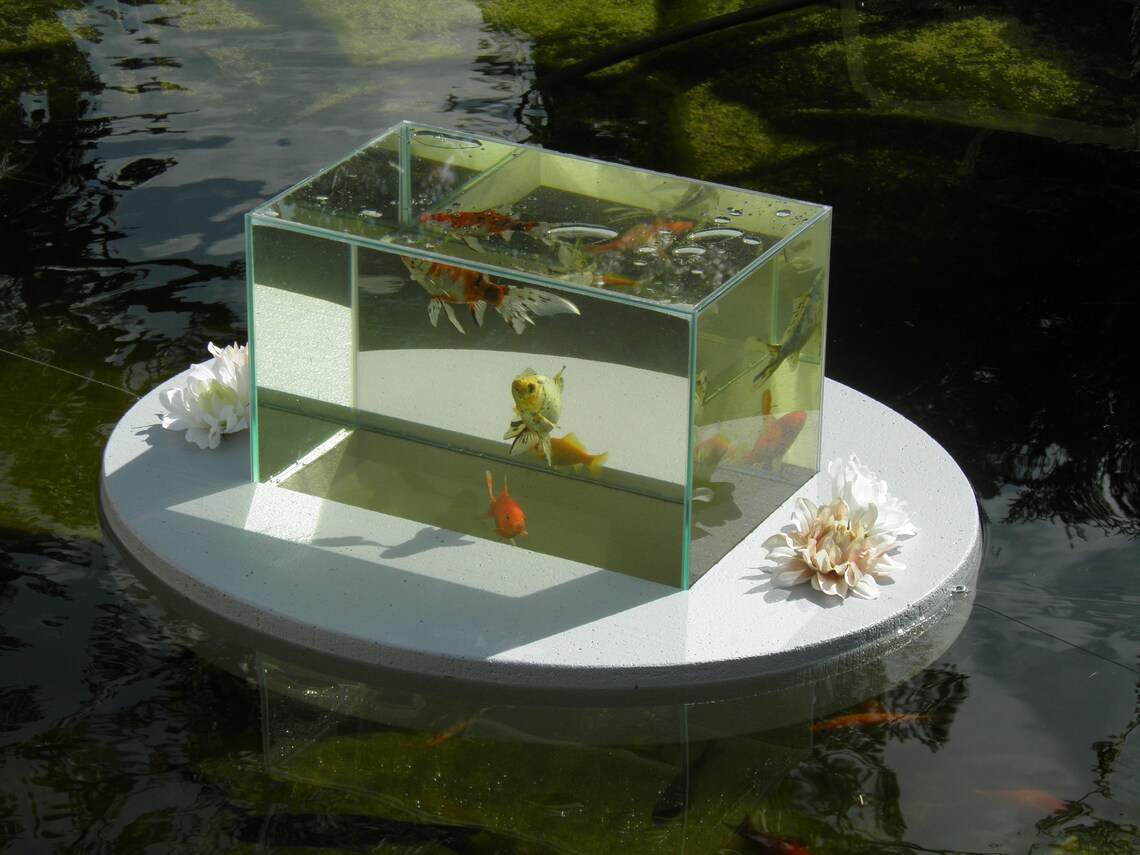 FlyingAquariumOval© Basic 2500 foggy gray Fish Etsy