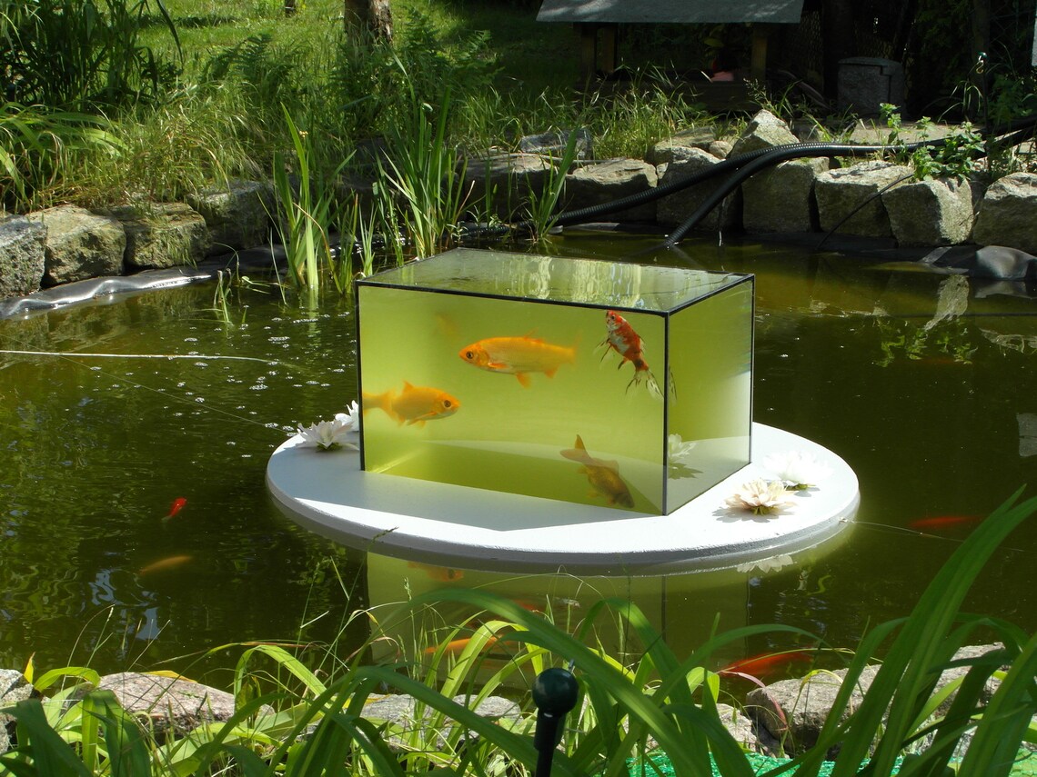 Flyingaquariumoval© basic 4500 Foggy Gray the Floating Pond Aquarium