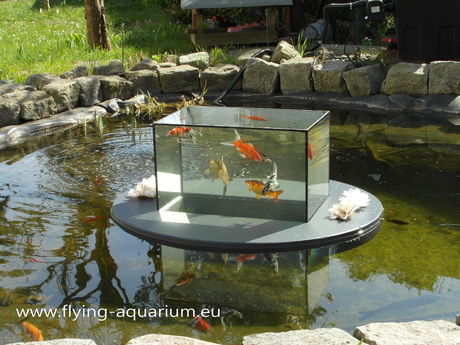 Flyingaquariumoval© basic 4500 Gray the Floating Pond Aquarium Made
