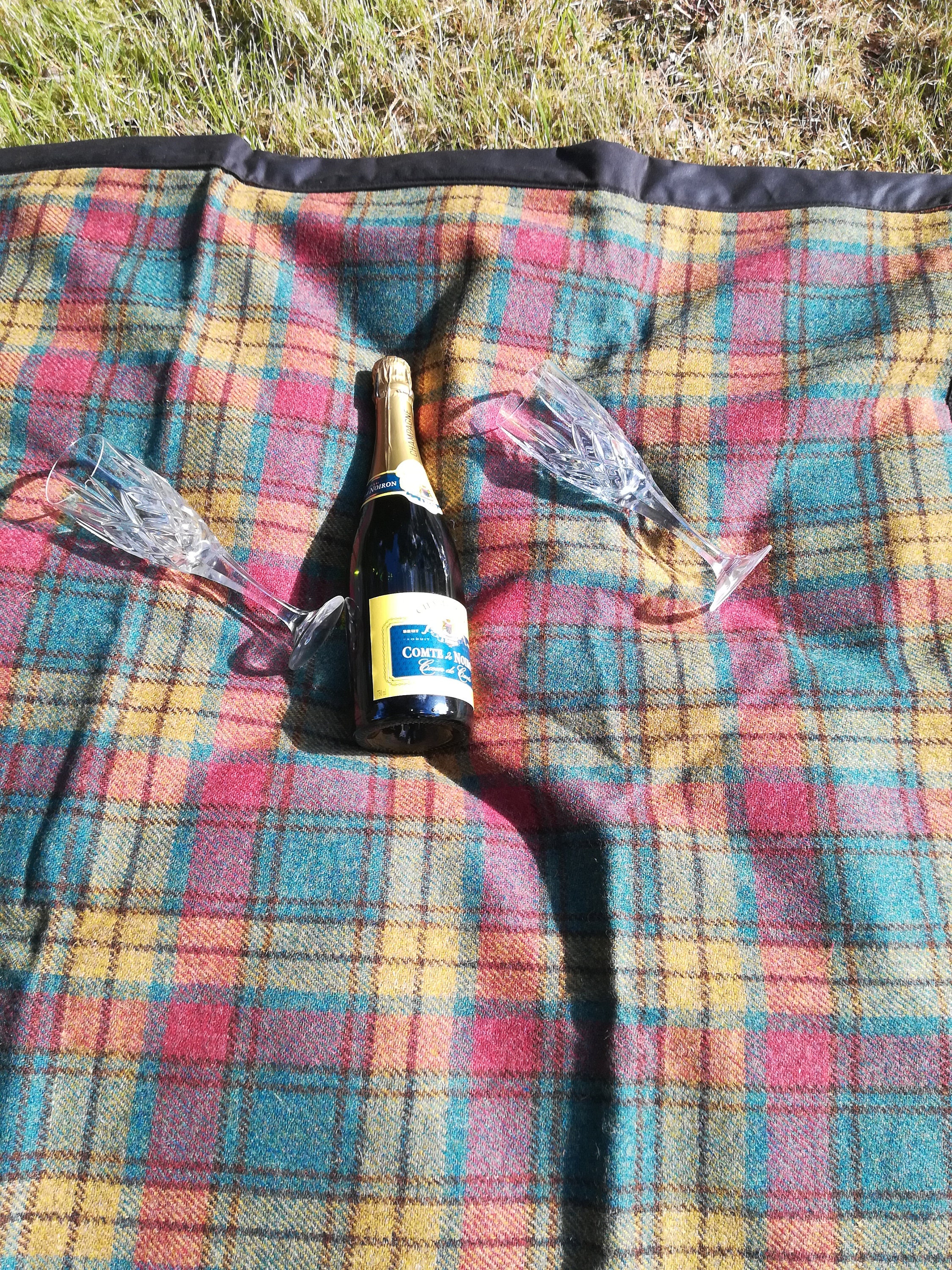 Barbour picnic blanket sales