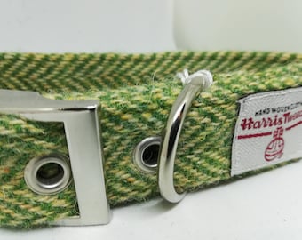 Ensemble collier pour chien et nœud papillon amovible HARRIS TWEED - Chevrons verts