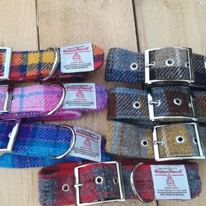 May include: Assortment of colorful dog collars made from Harris Tweed fabric. The collars feature silver buckles and are labeled with the Harris Tweed logo and text. The text reads "Harris Tweed Outer Hebrides of Scotland 100% Pure New Wool".