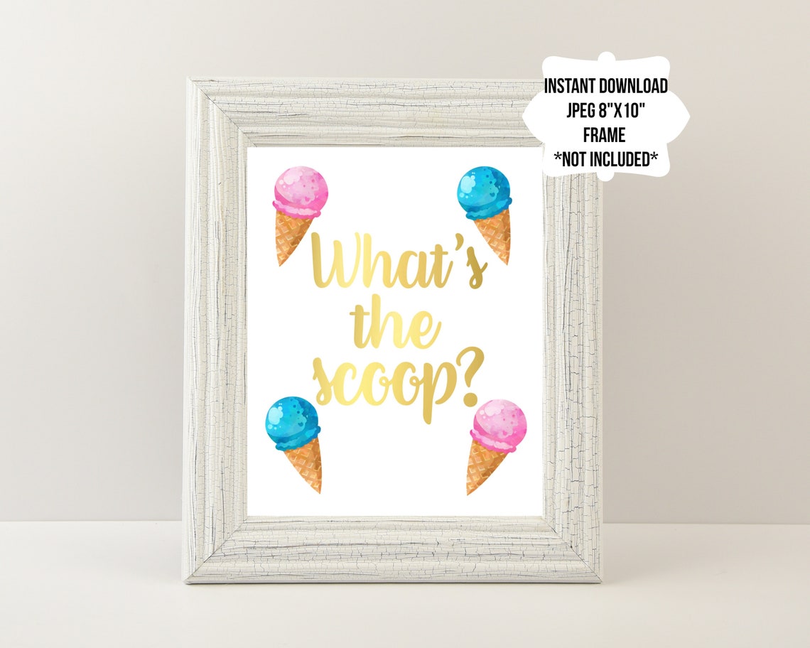 What's the Scoop Gender Reveal / What's the Scoop Etsy