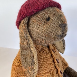 Puede incluir: Un perro de punto marrón y naranja que lleva un gorro de punto burdeos y un cárdigan de punto marrón y naranja.