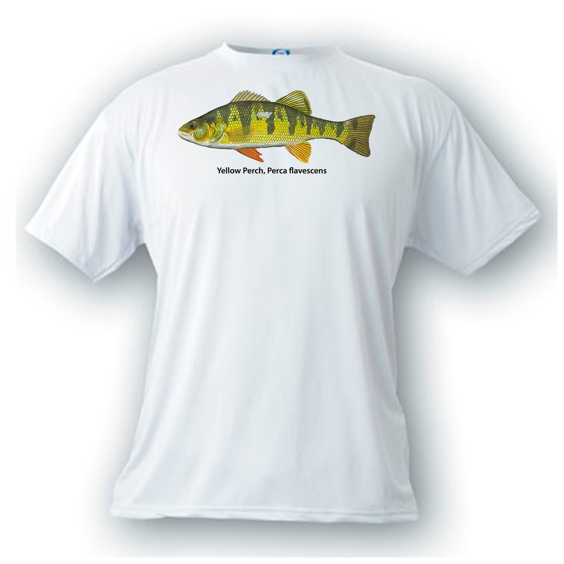Love Perch Fish T Shirt Design Perch Cool Tshirt Love Perch Fish T Shirt Design Perch Cool Tshirt