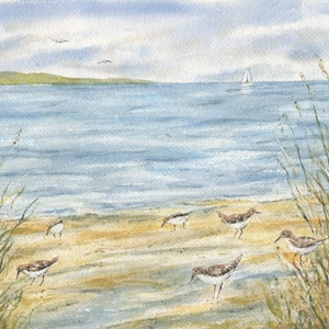 Sandpipers On The Shore Watercolor Painting Prints, Beach Decor, Coastal Art, Coastal print ocean print, framed beach print, Sandpiper art