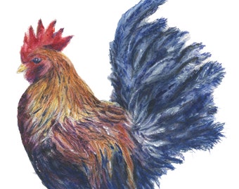 May include: Watercolor painting of a rooster with a red comb and wattle, brown and yellow body, and a large blue tail. The rooster is depicted in a side profile, with one leg raised.