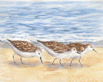 Strandloper aquarelprints, strandloperschilderen, kustvogels aquarel, strandschilderen, strandhuisdecor, kustkunstprint, ingelijste kunst