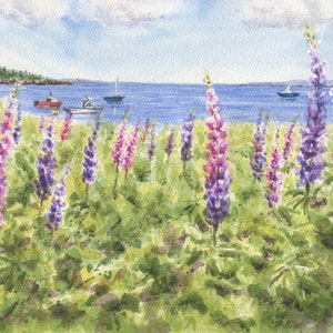 Maine Lupine: watercolor giclee print or original Maine watercolor print lupine art print Maine painting art print Mother&#39;s Day gift