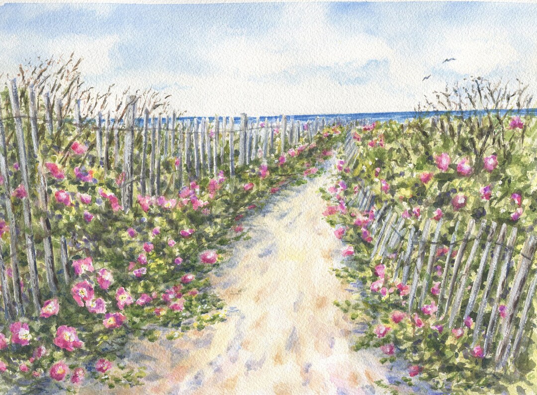 Cape Cod Beach Roses, Cape Cod Watercolor Landscape,beach Art Print