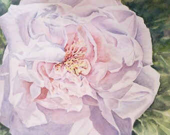 Pink Rose "Morning Glow"  watercolor Rose Prints or Original Painting, Pink flower painting, Rose watercolor print, framed pink rose print