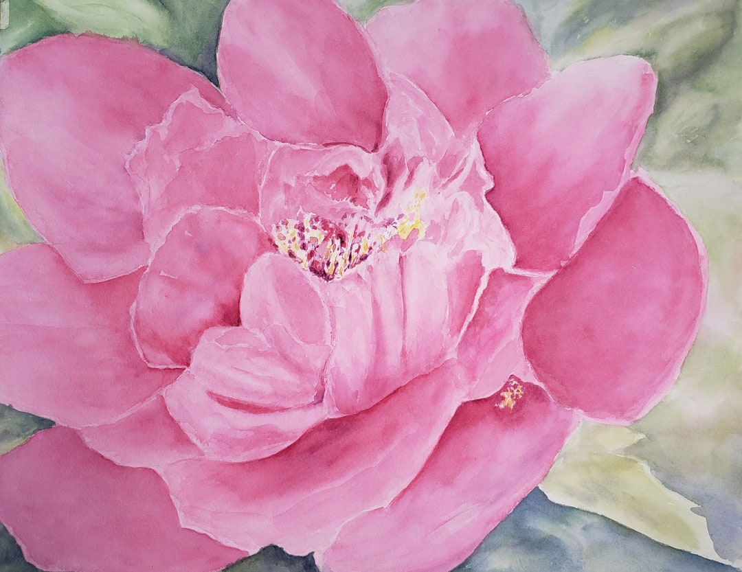 Pink Peony Watercolor Painting Fine Art Prints or Original Painting ...