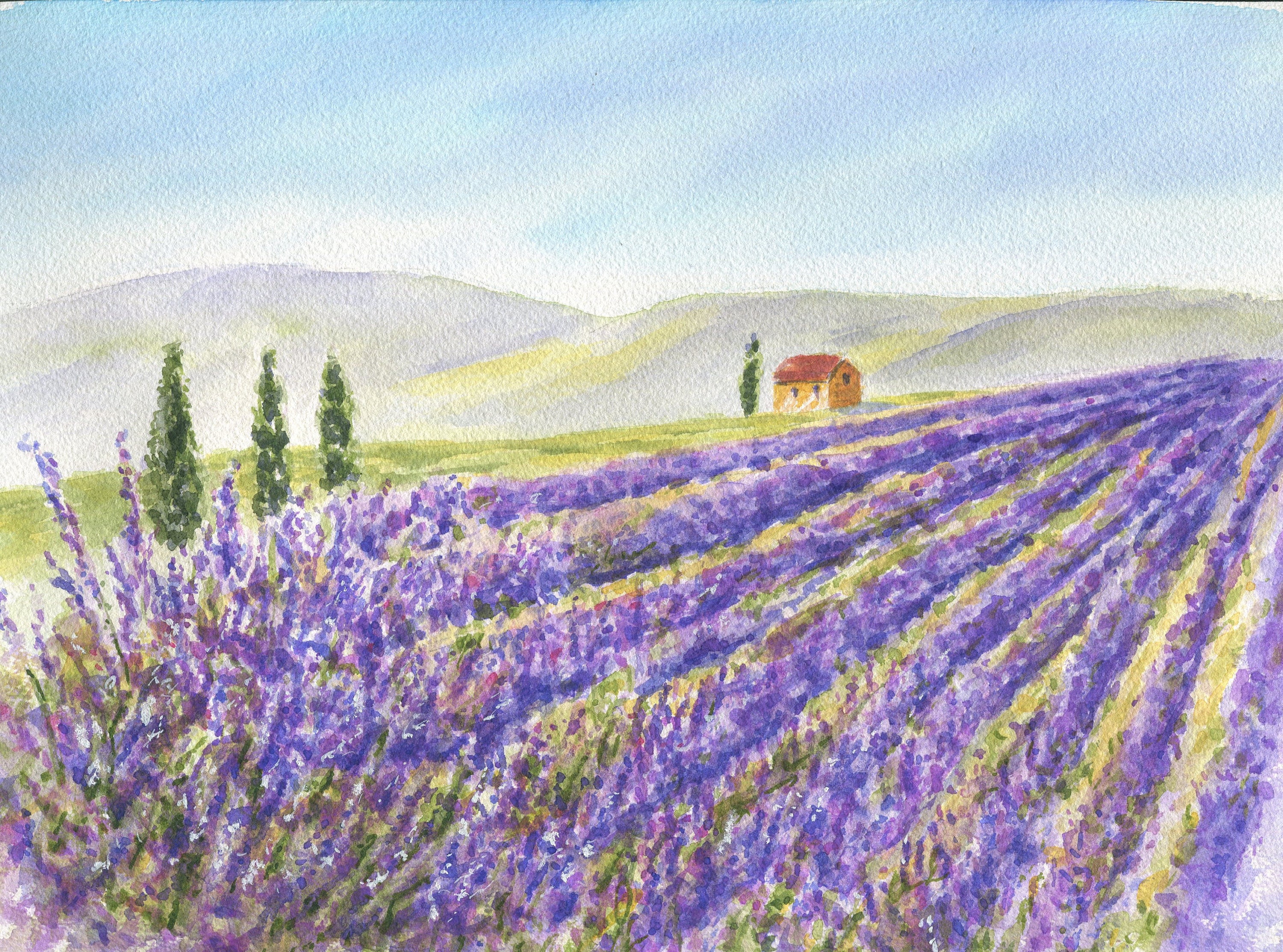 Lavender Watercolor