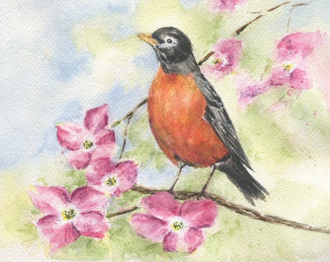 Robin Painting Robin Watercolor Print Framed Bird Print Bird Art Bird ...