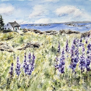 Maine Coastal Watercolor Print or Original Maine Painting,  Maine Art Print, Maine Lupine Art, Maine Wall Art,