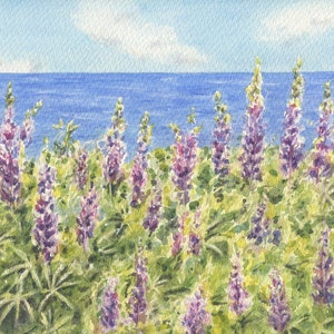 Lupine 2: Lupine Watercolor Prints or Original Painting, Lupine Art Prints, Maine Watercolor Print, Maine Painting, Lupine Flowers Art,