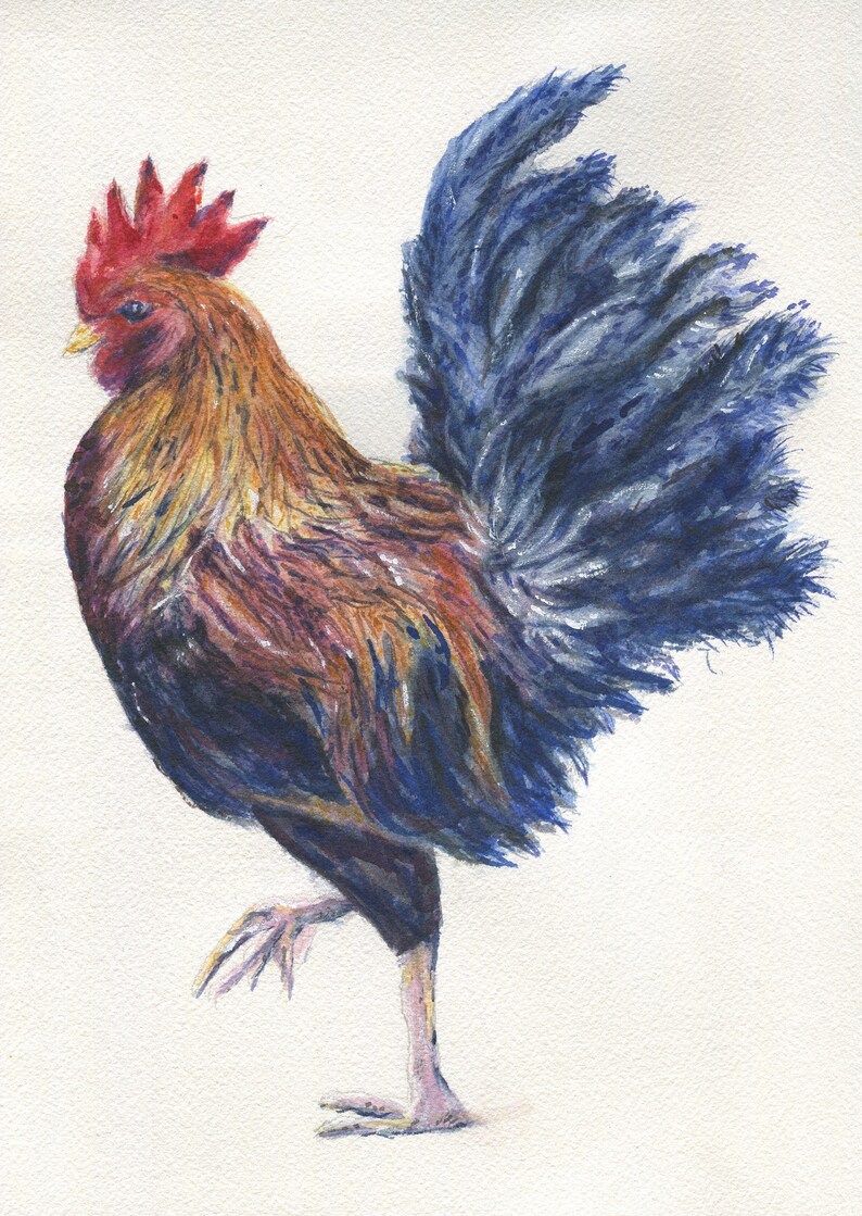 Rooster Notecards Blank Greeting Cards Rooster Art rooster painting watercolor art rooster stationary colorful rooster art gift for mom