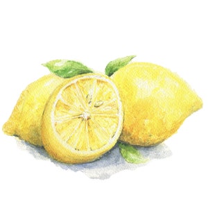 Lemons: Watercolor painting print, lemon kitchen decor, fruit painting, framed lemon art wall decor, framed print, lemon kitchen art,