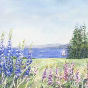 Lupine And The Sea: Maine watercolor painting, Maine Seaside Print, Lupine Art Print, Maine Art Print, Lupine Painting, Maine landscape art