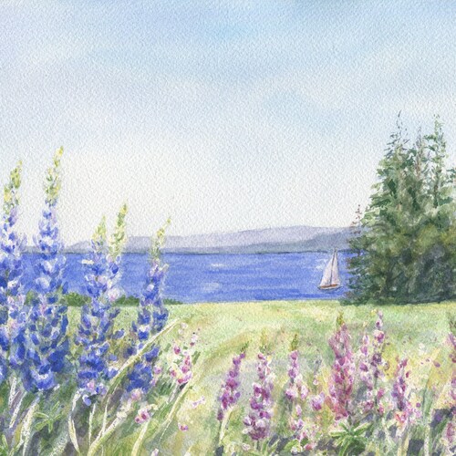 Lupine and the Sea Maine Watercolor Painting Maine Seaside Etsy
