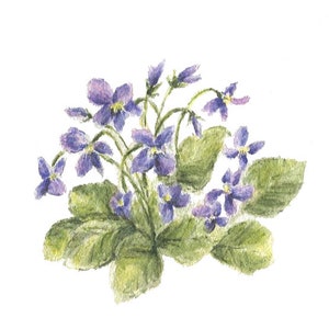 Violets Watercolor Painting Prints or Original Violets Floral Print, Violet Art, Spring Flowers Print, Purple Floral,  Mother&#39;s Day