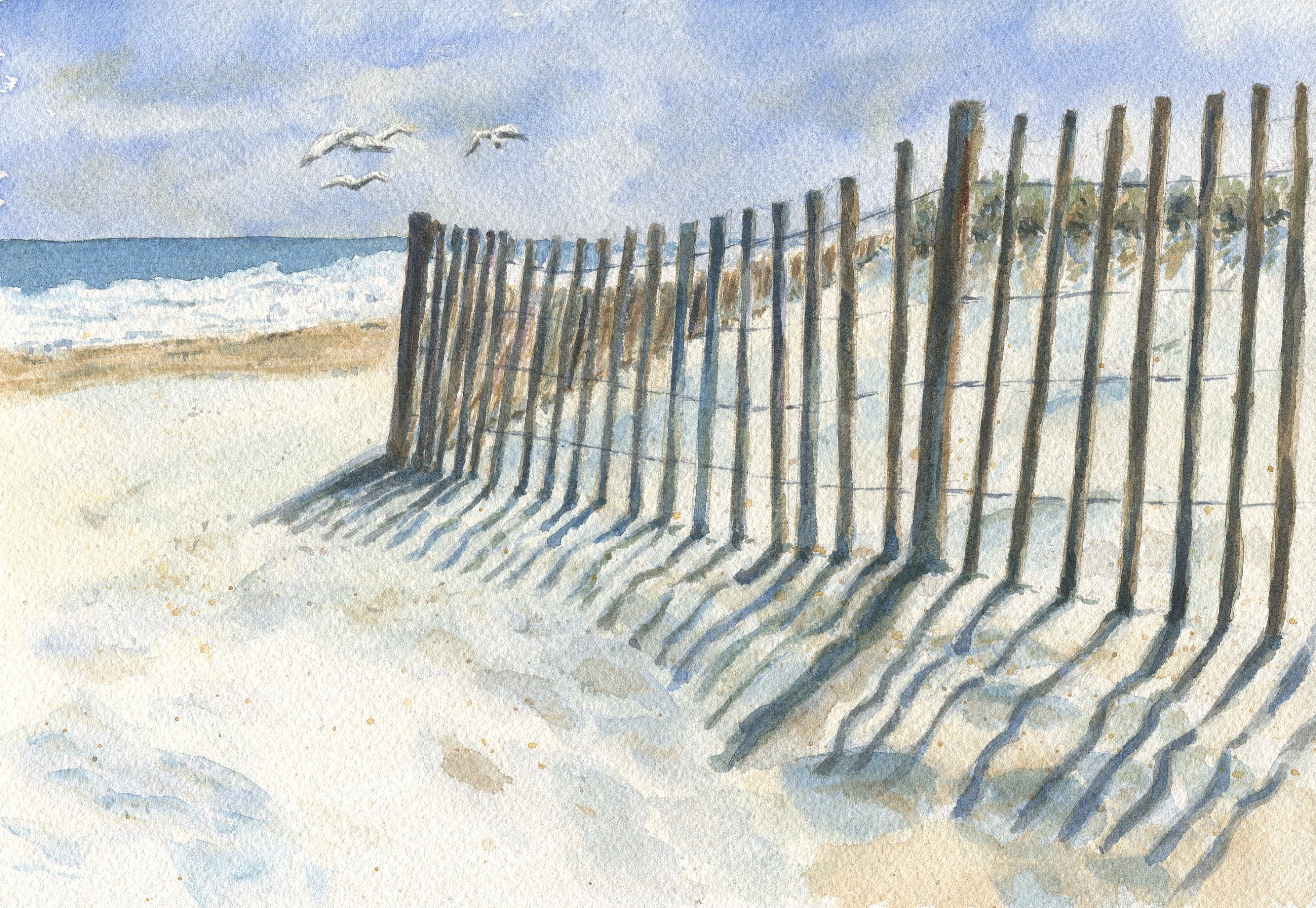 Beach Dune Fence
